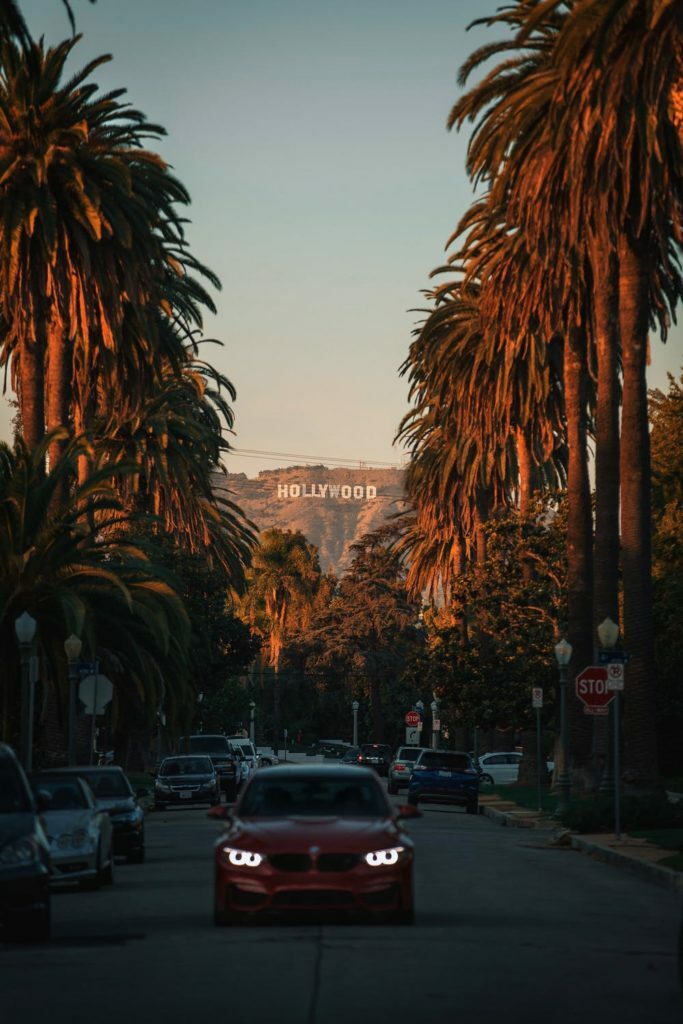 a street with cars and palm trees